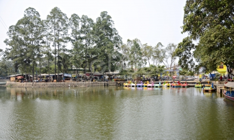 Situ Cipondoh