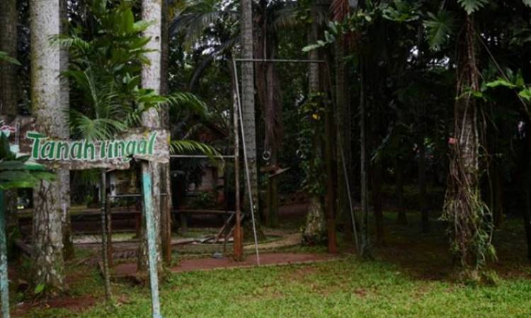 Tanah Tingal