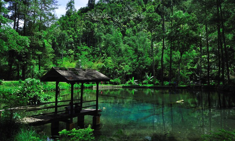 Telaga Rambut Monte