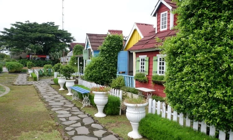 Urban Farming