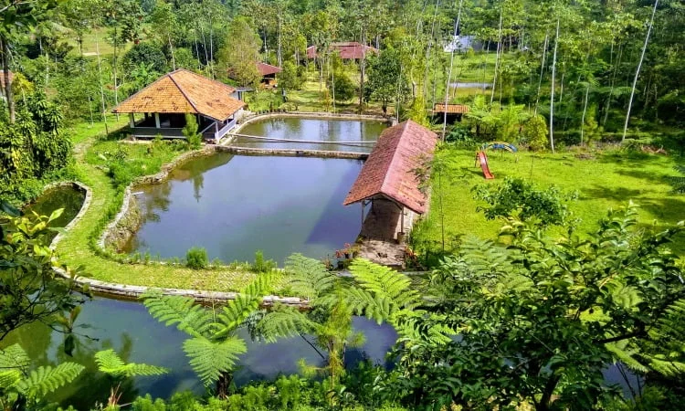 Wanakula Camp
