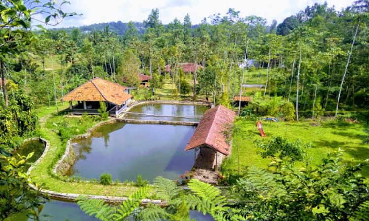Wanakula Camp