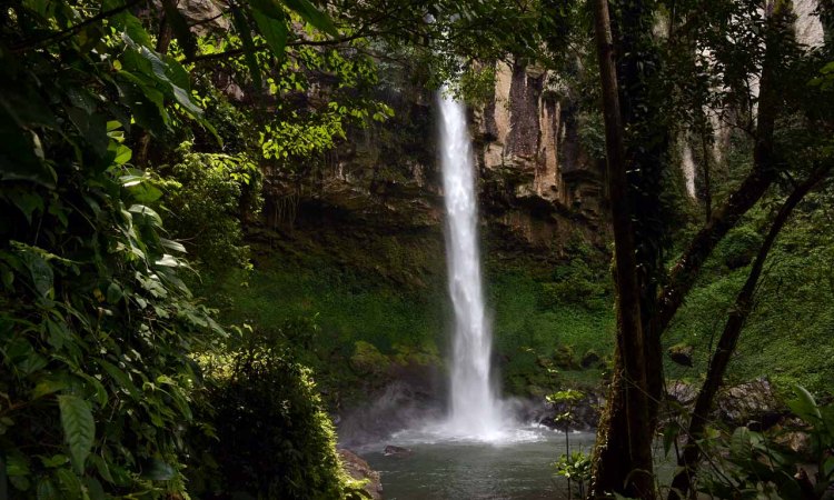 Air Terjun Putri Malu