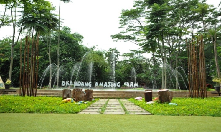 D'Kandang Amazing Farm