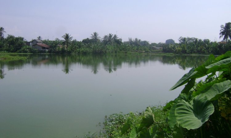 Danau Kalimati