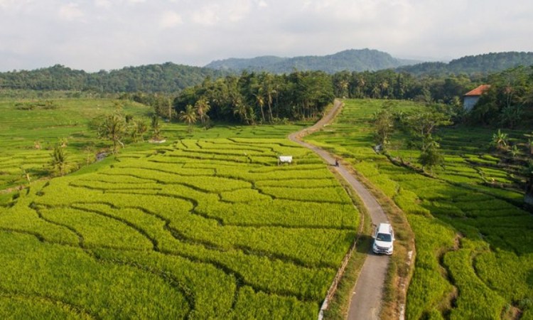 Desa Wisata Cikalahang