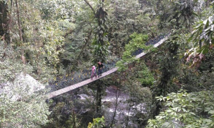 Halimun Adventure Journey