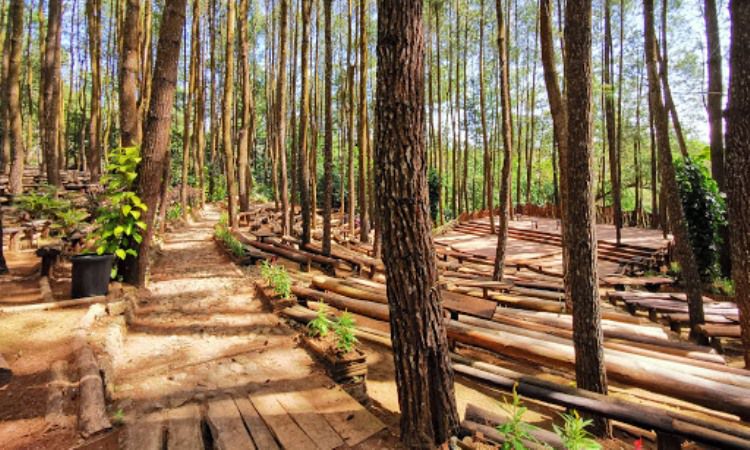 Hutan Pinus Mangunan