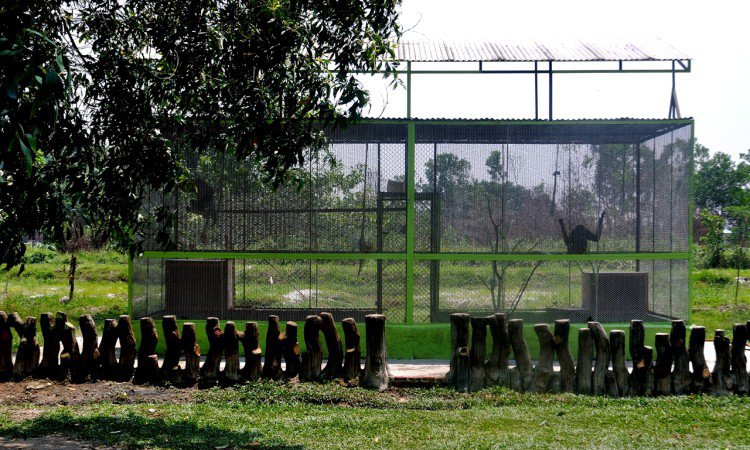 Kebun Binatang Sang Kulim