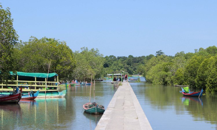 Mangrove Bedul Ecotourism