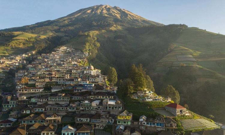 Nepal Van Java