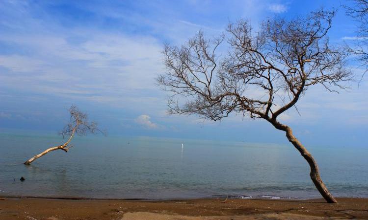 Pantai Cirewang