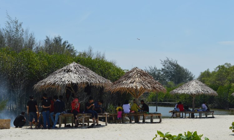 Pantai Mangrove