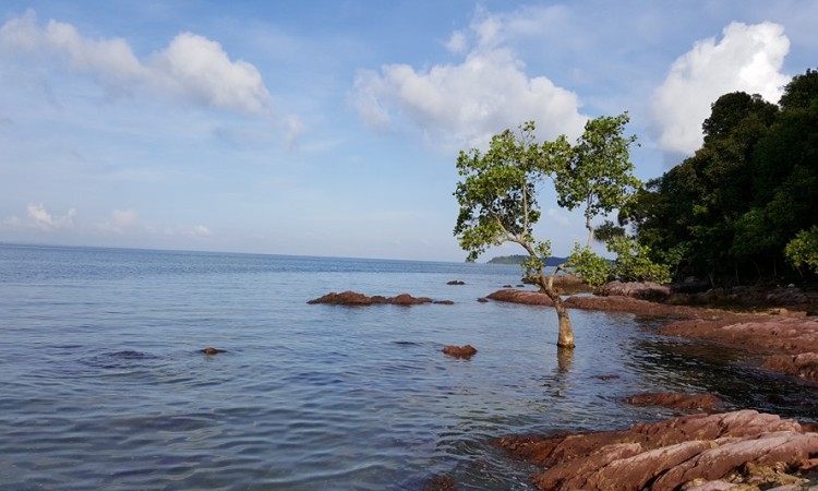 Pantai Mirota