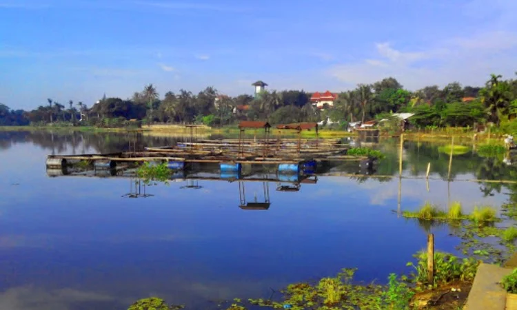 Situ Bojongsari