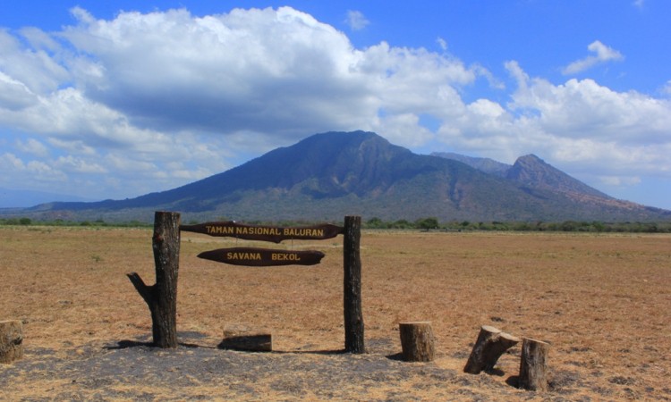 Taman Nasional Baluran