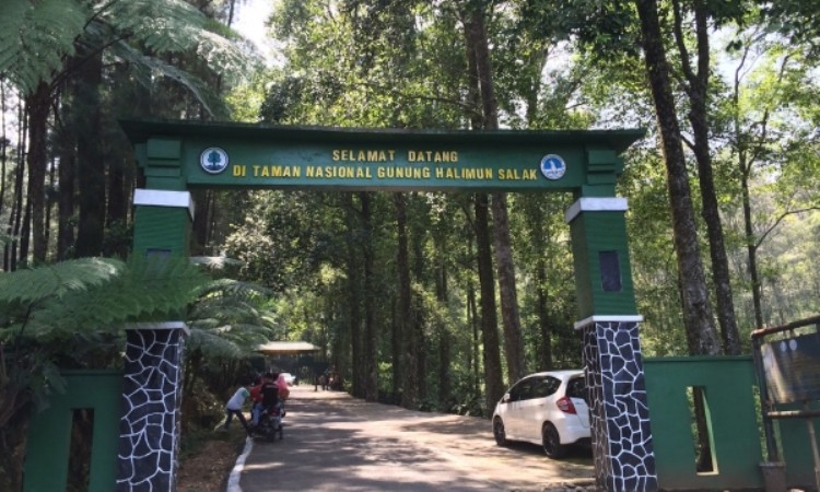 Taman Nasional Gunung Halimun Salak