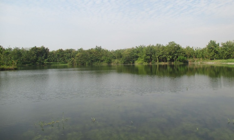 Waduk Jambe