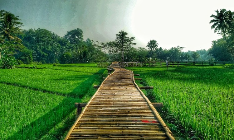 Wisata Kulon Ndeso