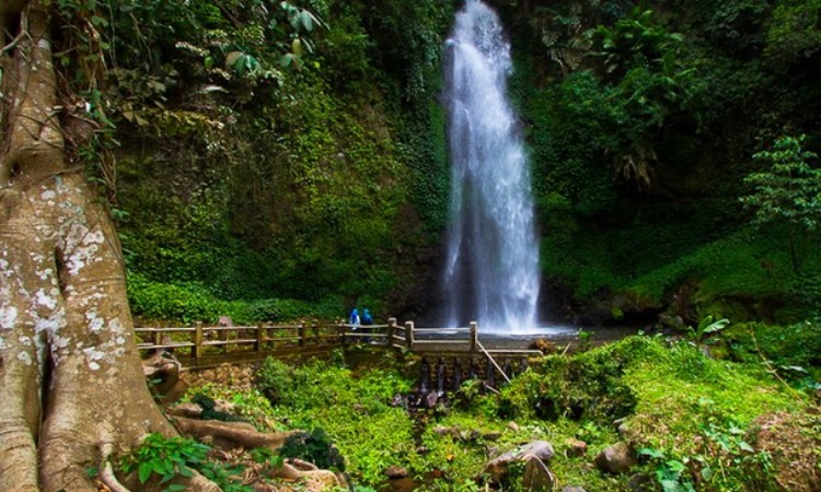 Air Terjun Grojogan Sewu