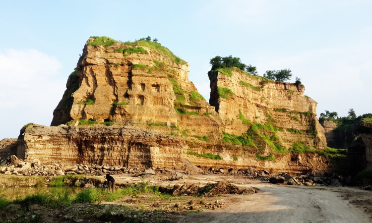 Brown Canyon