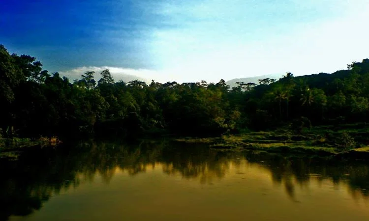 Hutan Sesaot Lombok