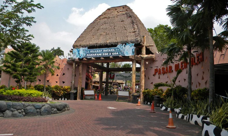 Maharani Zoo Lamongan