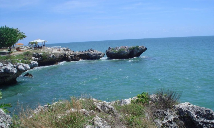 Pantai Kodok