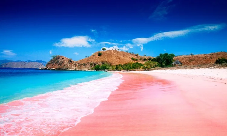 Pantai Pink