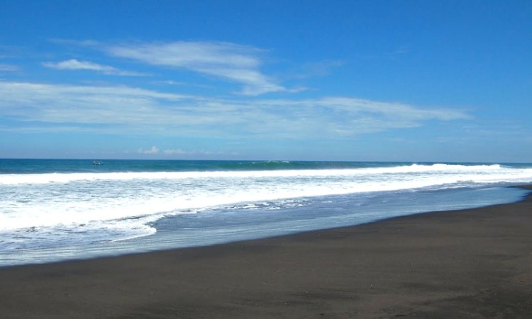 Pantai Trisik