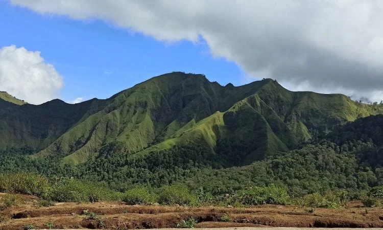Pusuk Sembalun Lombok