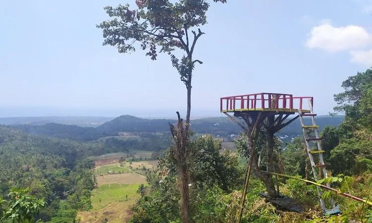 Rumah Pohon Gangga