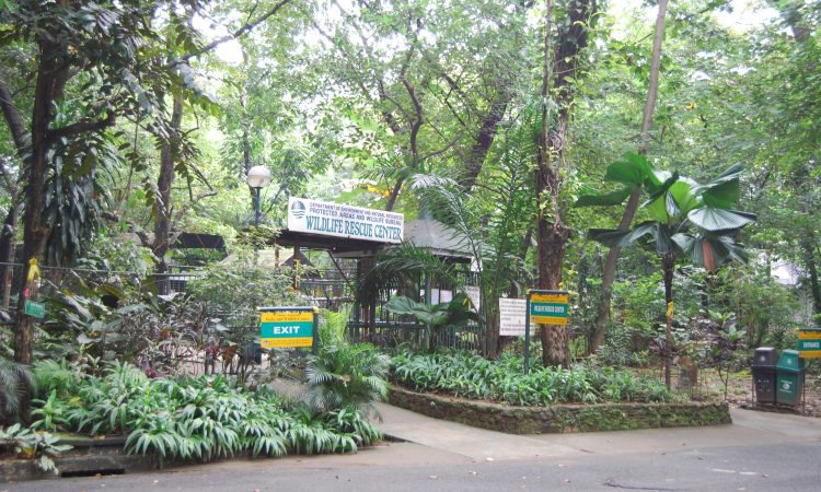 Wildlife Rescue Center