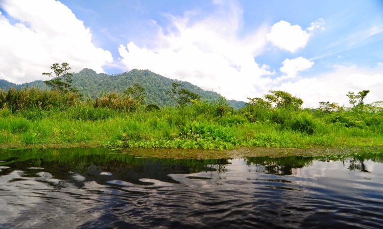 Danau Rawa