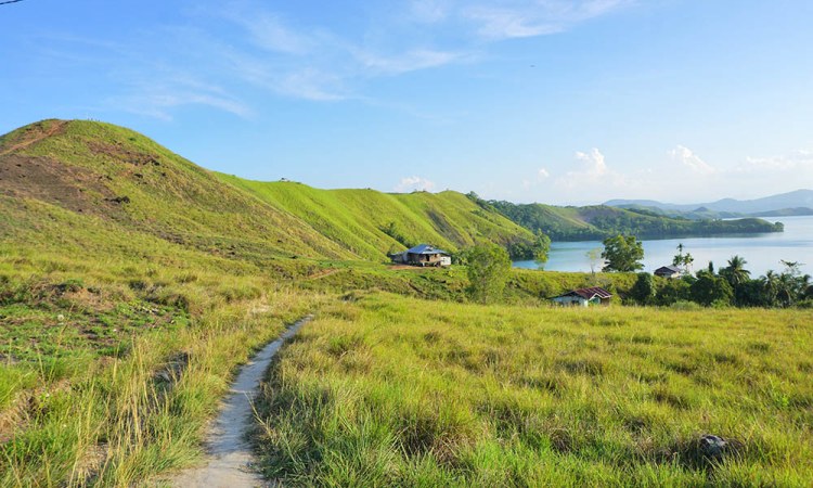 Bukit Teletubbies