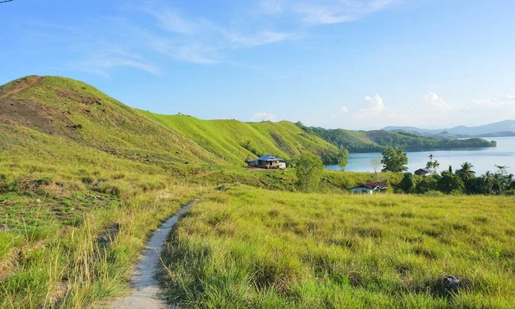 Bukit Teletubbies
