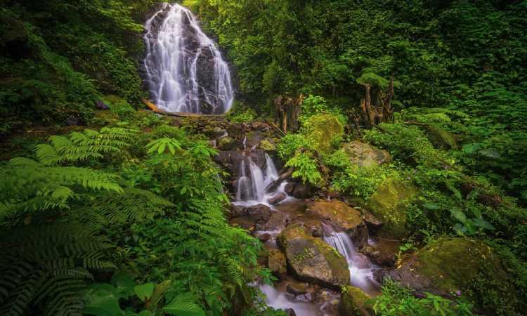 Curug Corong