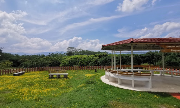 Ngebruk Patean