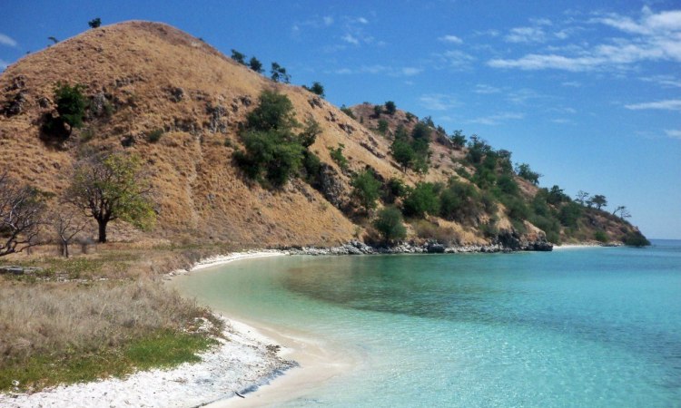 Pulau Rinca