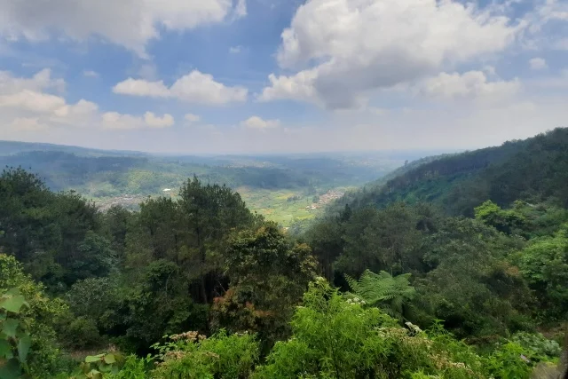 Puncak Patran Batang