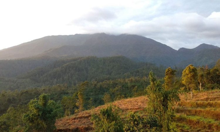 Puncak Patran