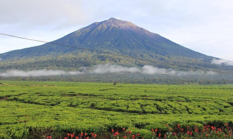 Taman Nasional Kerinci Seblat