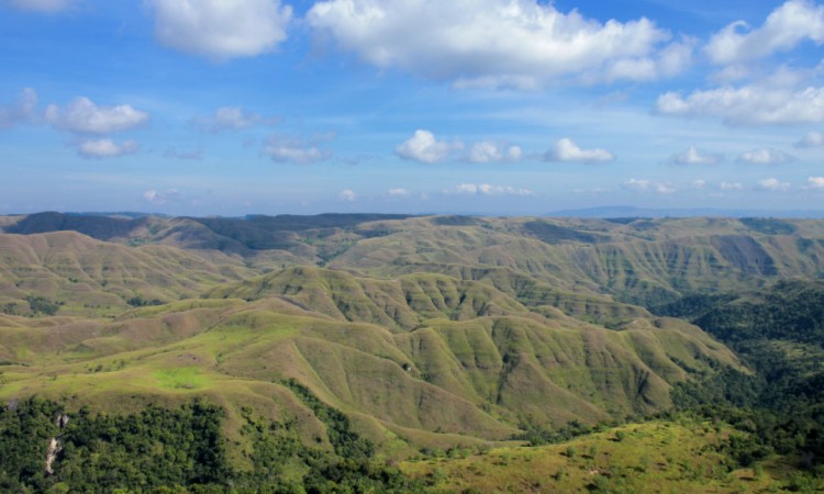 Taman Nasional Laiwangi Wangameti