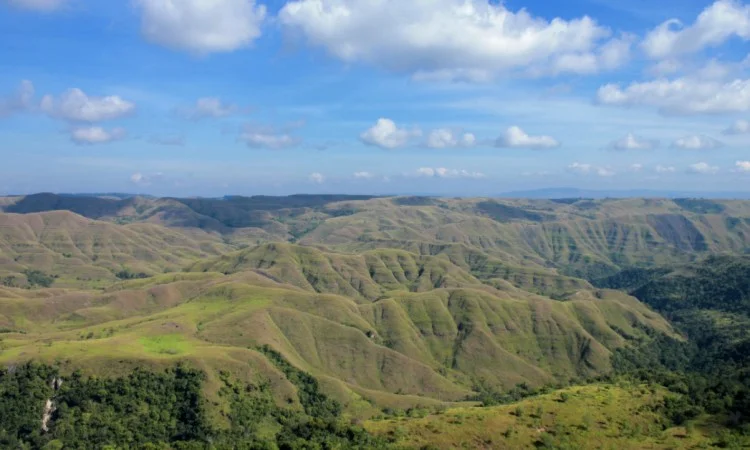 Taman Nasional Laiwangi Wangameti