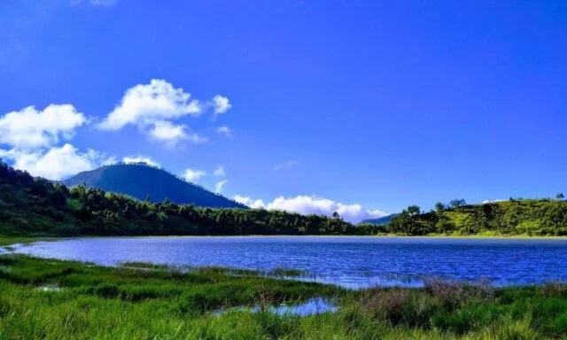 Telaga Dringo