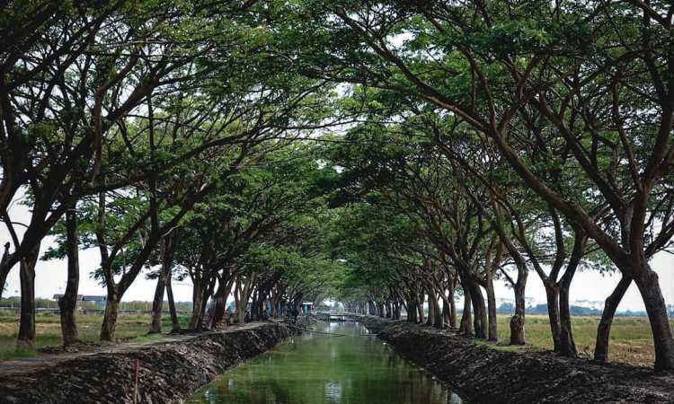Wisata Kali Bladon