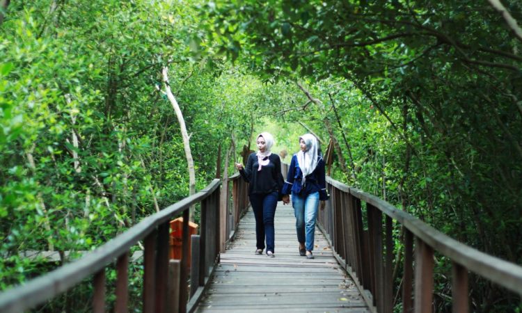 Hutan Mangrove Ujungpangkah