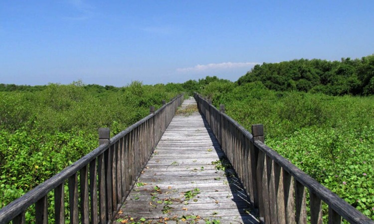 Pulau Sarinah