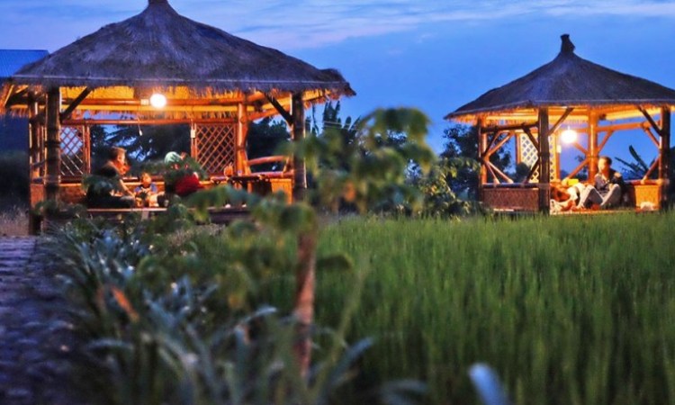 Sate Tepi Sawah
