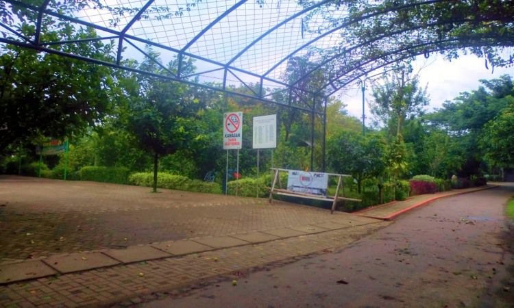 Taman Hutan Kota